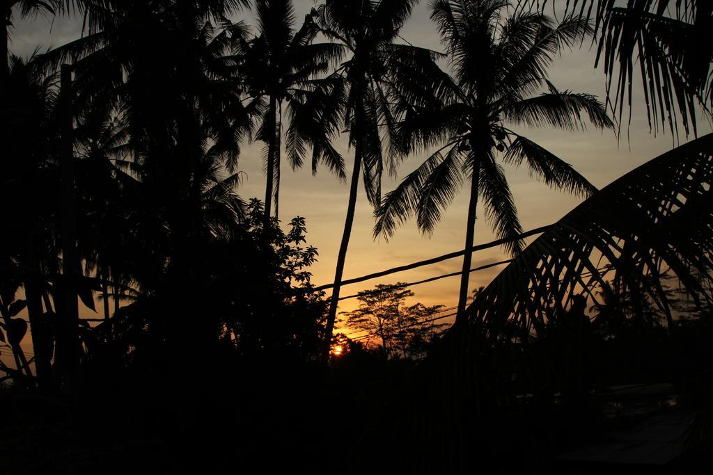 Ubud Kartini Hostel Buitenkant foto