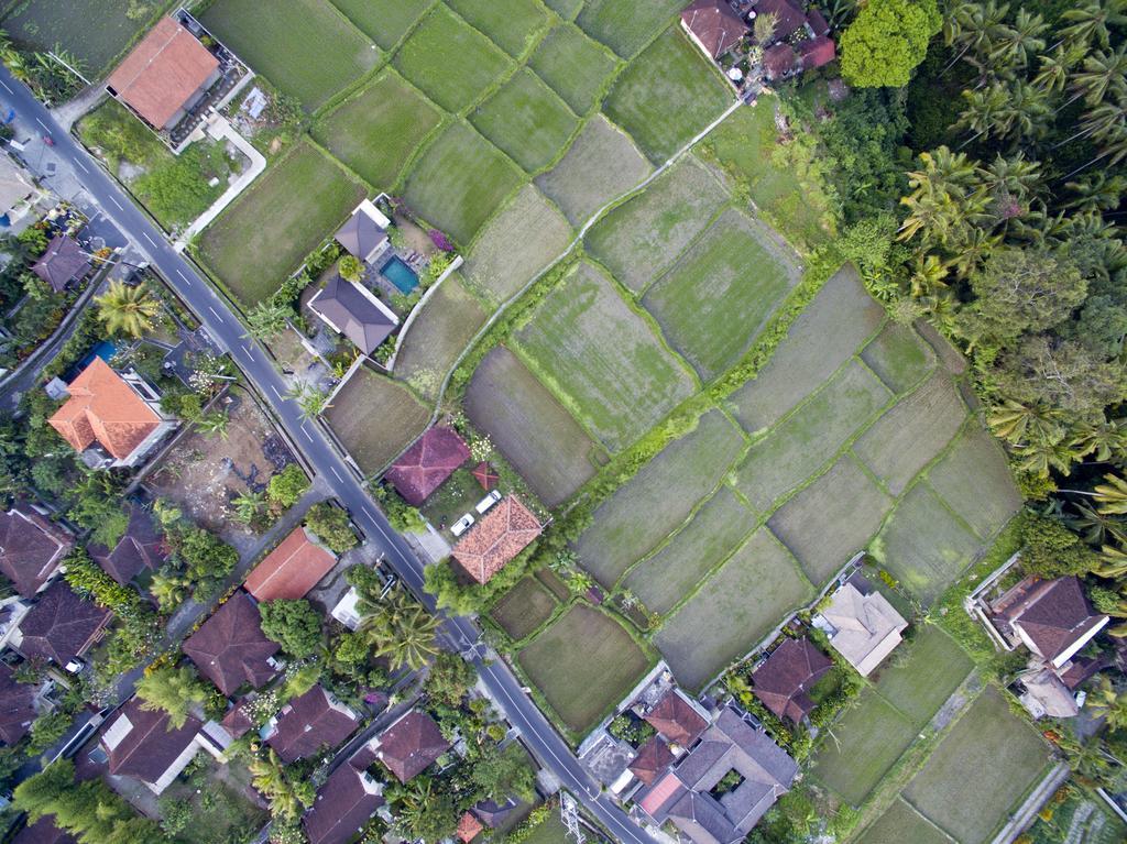 Ubud Kartini Hostel Buitenkant foto